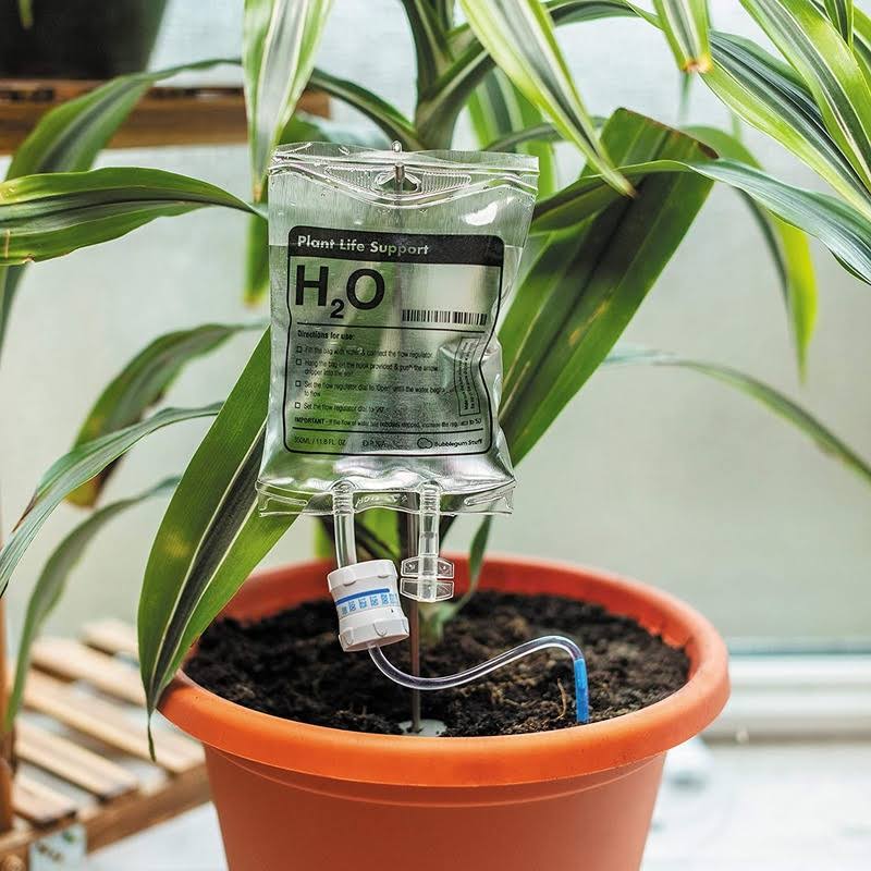 H2O IV - Plant Self Watering Device
